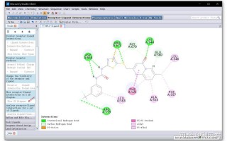 化学药品管理软件 医药行业常用的分子模拟软件大pk