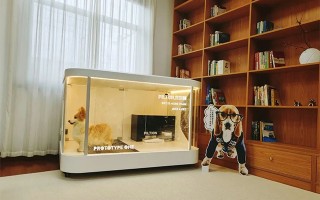 宠物小科技 十几万元买不回爱宠“重生”：小众且昂贵的宠物克隆是科技奇迹还是情感骗局？