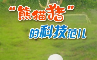 猪猪乐科技 中国发布丨这些食品有问题，网购族请注意