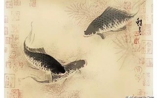 熬鹏科技 知见诗社  庄子的三条鱼，人生的三重境界