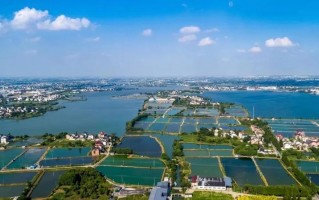 吴江 生物科技 藏不住了！生态吴江又“上新”啦！