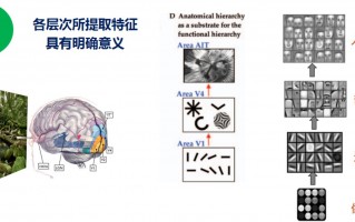 北京一科技 北京一术科技申请基于神经网络的生物特征识别专利，解决了生物特征识别样本不足及存储资源受限的问题
